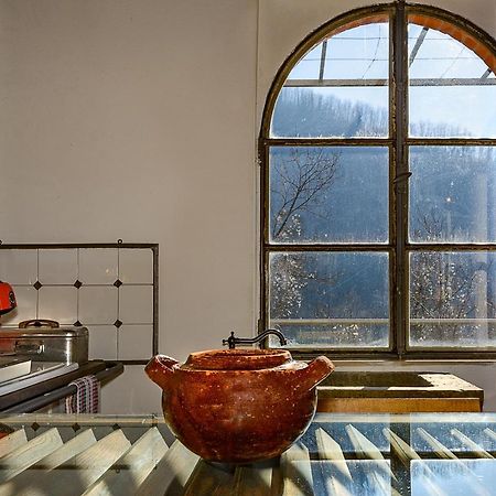 La Limonaia Di Casagrande Villa Barga Eksteriør billede