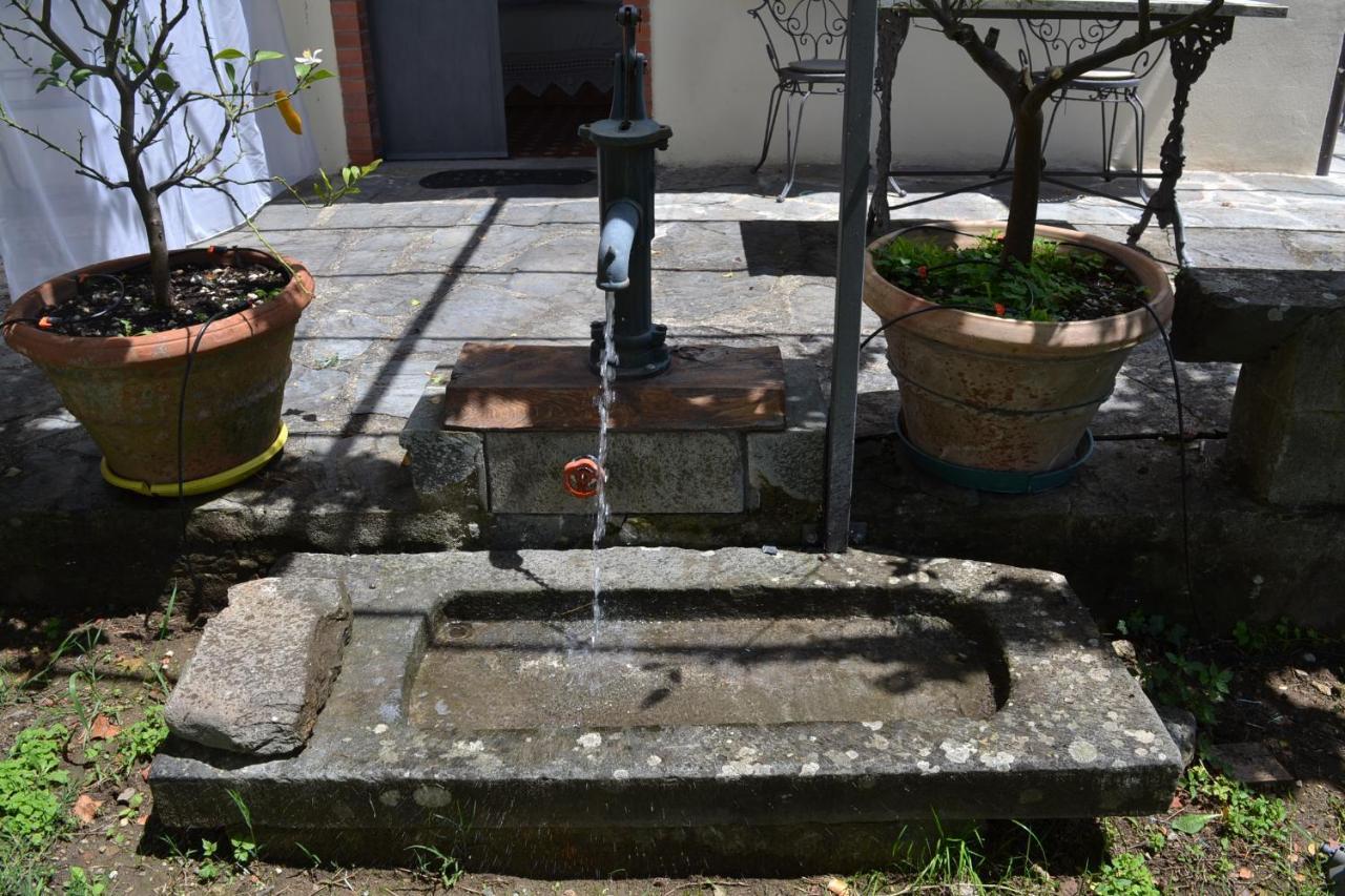 La Limonaia Di Casagrande Villa Barga Eksteriør billede