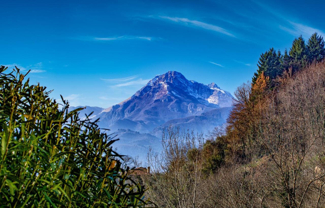 La Limonaia Di Casagrande Villa Barga Eksteriør billede
