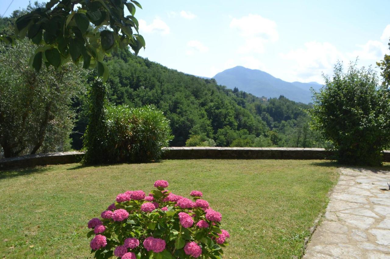 La Limonaia Di Casagrande Villa Barga Eksteriør billede